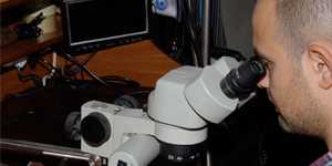 Image 02